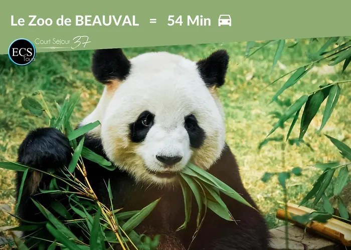 公寓 1# Central'tours *